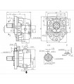 Hydraulic gear pump 10 cc / rev, 250 bar, conical shaft 1/8 ", Metric ports